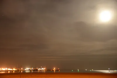 DSC_2455 (Large).JPG